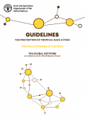 Directrices para la prevención de Raza 4 tropical (R4T) para productores y profesionales sobre el terreno